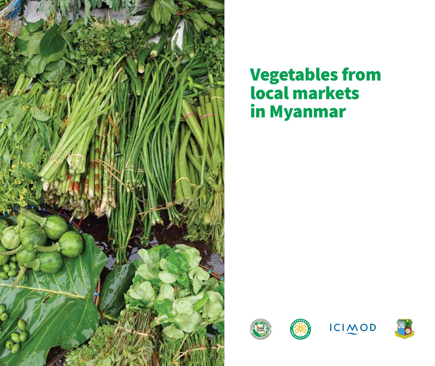Vegetables from local markets in Myanmar
