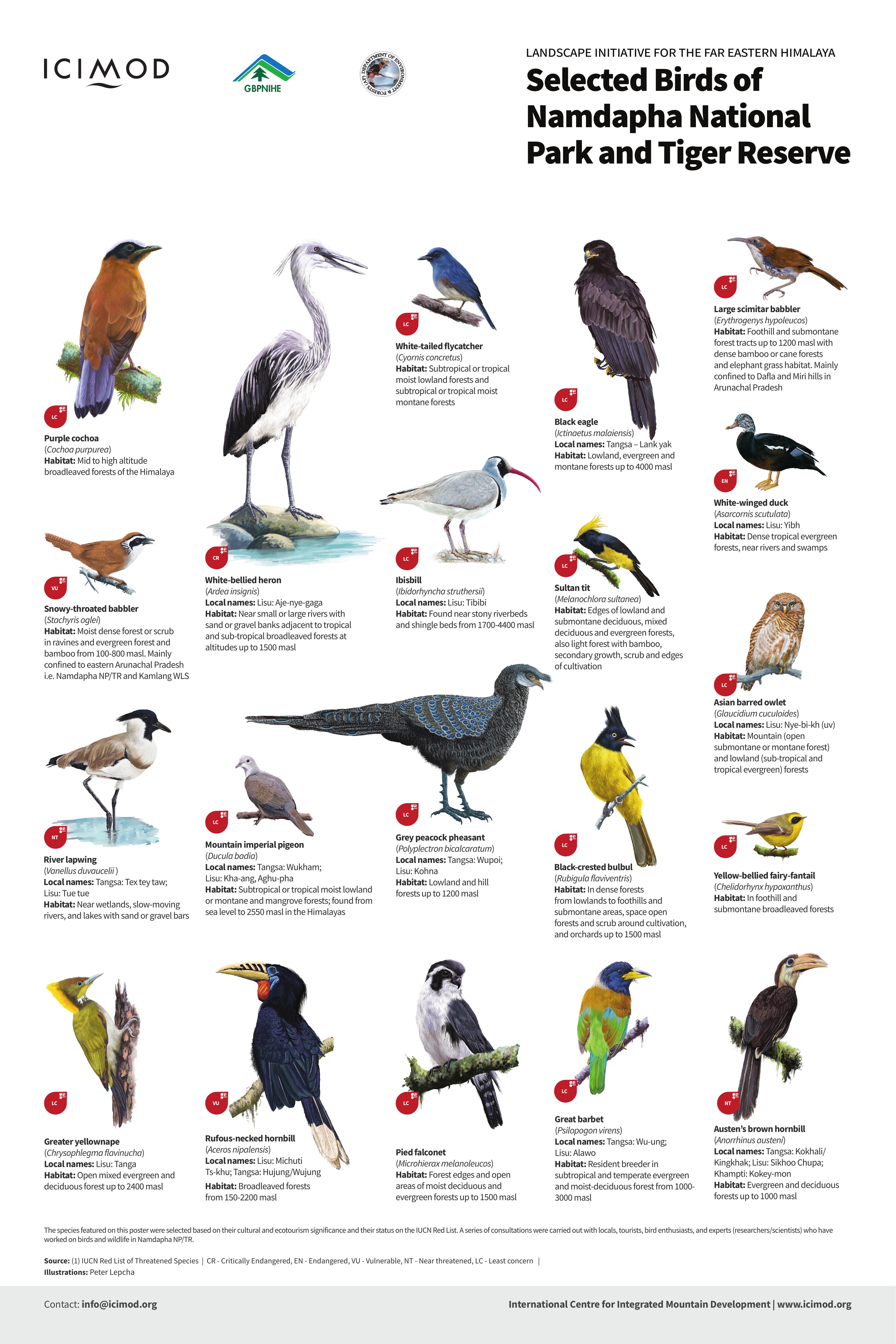 Selected Birds of Namdapha National Park and Tiger Reserve - Poster |  HimalDoc