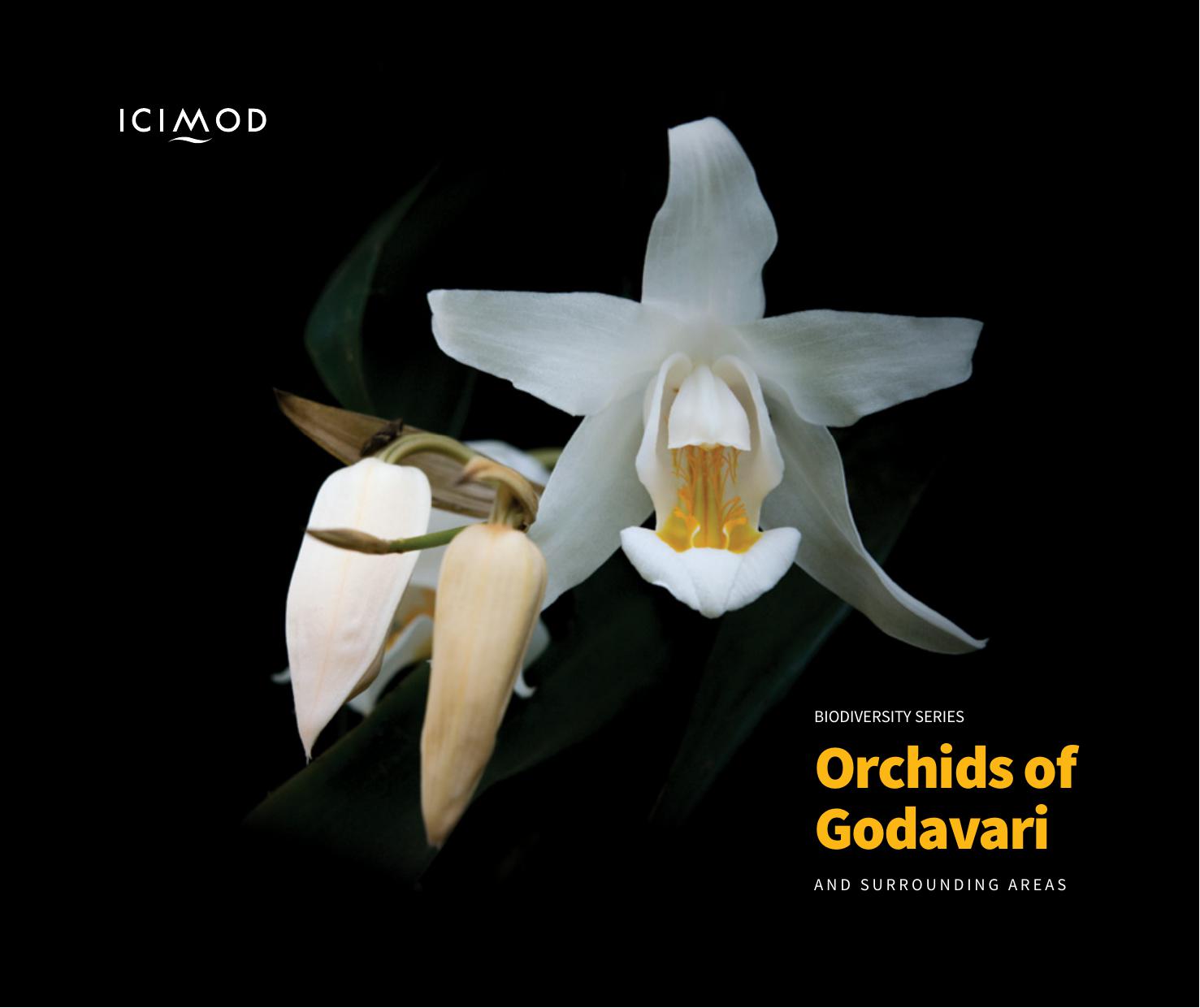 Orchids of Godavari and surrounding areas