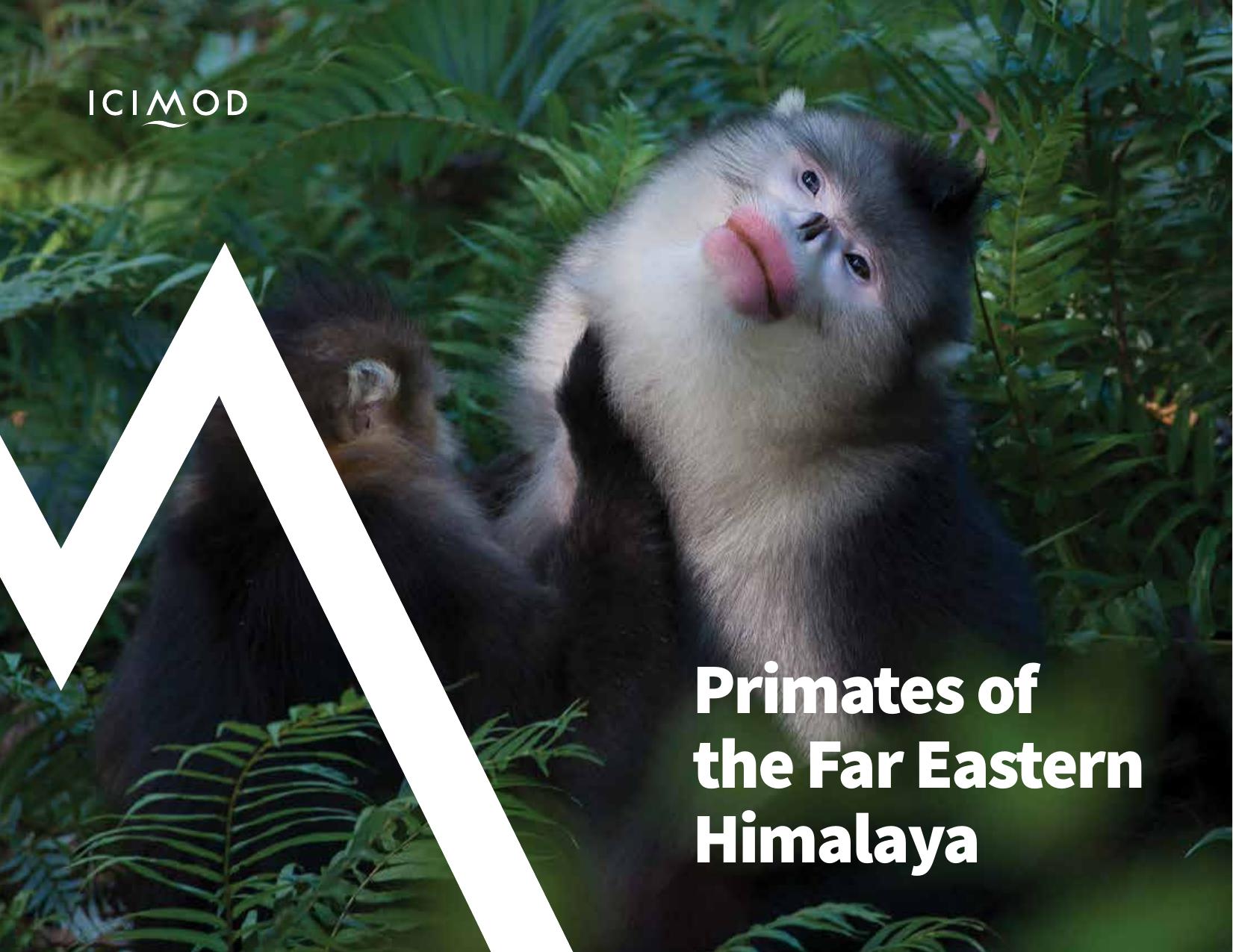 Primates of the Far Eastern Himalaya